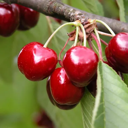 Lejlighed A L'ancien Moulin