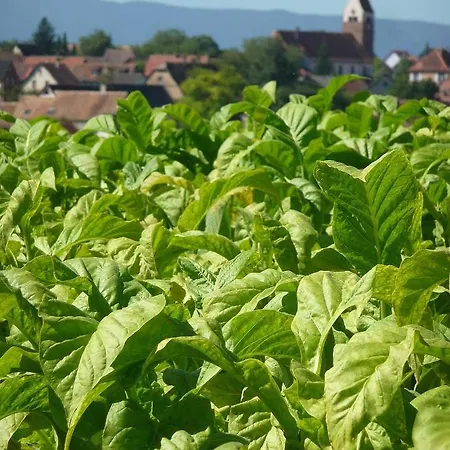 A L'ancien Moulin