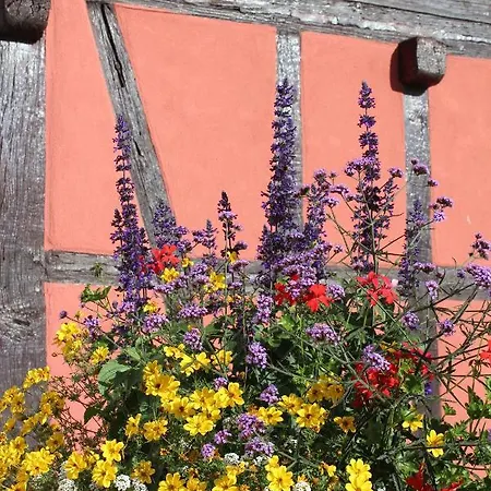 A L'ancien Moulin