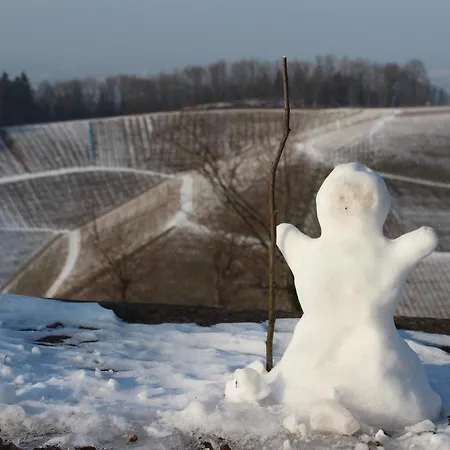 A L'ancien Moulin Lejlighed Lampertheim