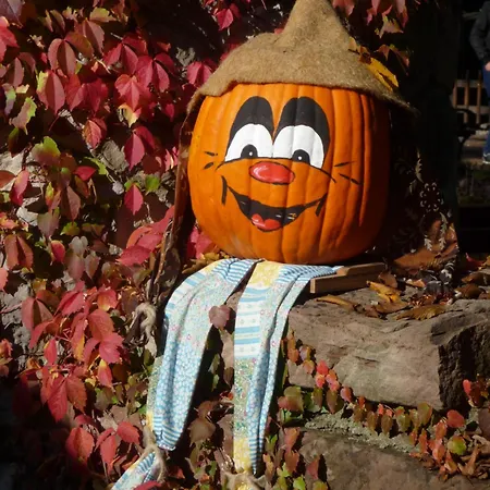 A L'ancien Moulin Lampertheim