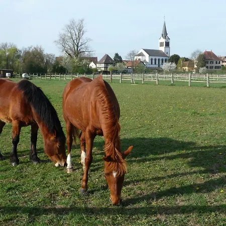 A L'ancien Moulin Lejlighed *